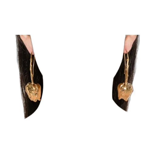 Irregular Shape Earrings