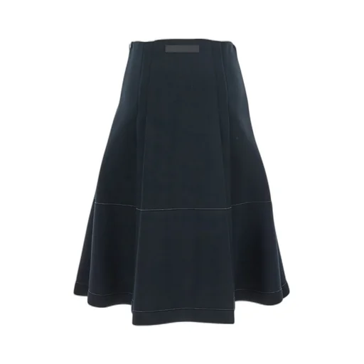 Pleat Detailed Skirt