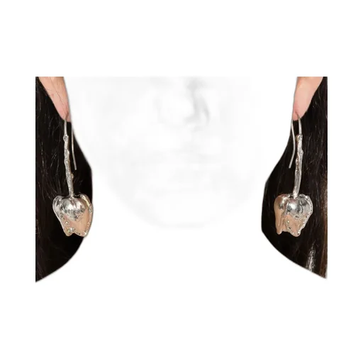 Irregular Shape Earrings