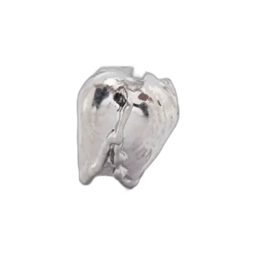 Irregular Shape Earrings