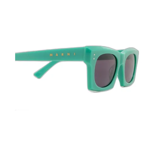 Frame Sunglasses