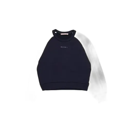 Colorblock Crewneck Sweatshirt