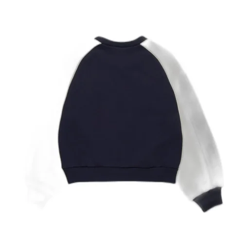 Colorblock Crewneck Sweatshirt