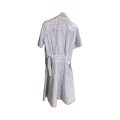 Panelled Striped Shirtdress