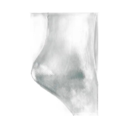 Rib Socks