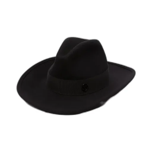 Wool Felted Hat