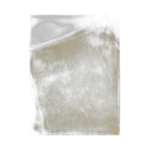 Cotton Polo Shirt