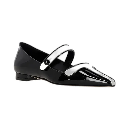 Pointed Toe Flats