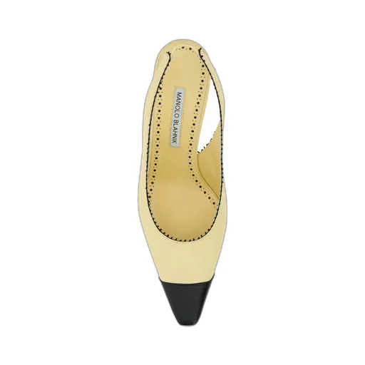 Gaius Slingback Pointed Toe Pumps