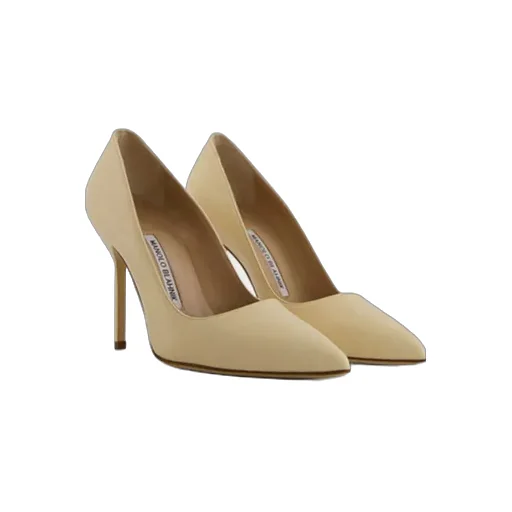 Bb Pointed Toe Pumps
