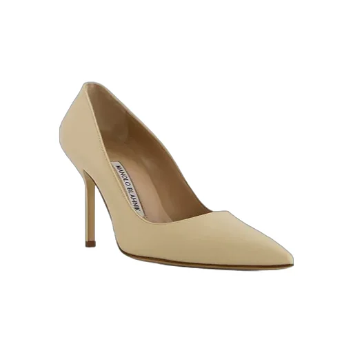 Bb Pointed Toe Pumps