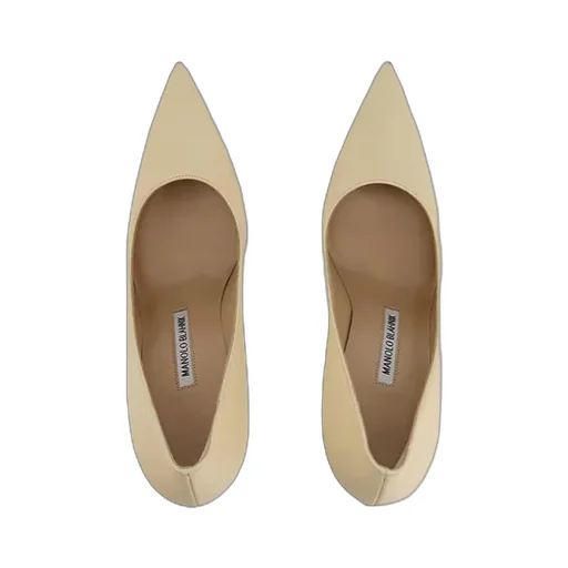 Bb Pointed Toe Pumps