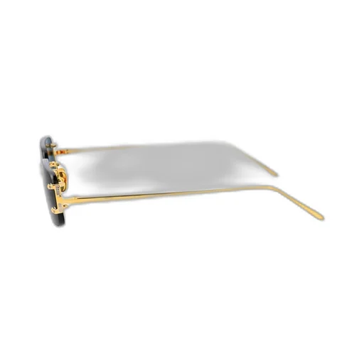 Rectangular Sunglasses