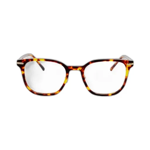 Hopkin Optical