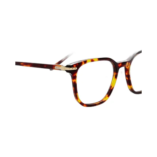 Hopkin Optical