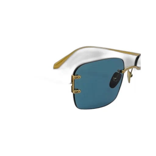 Adjustable Sunglasses