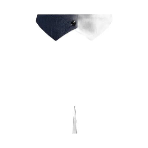 Pleated Trousers