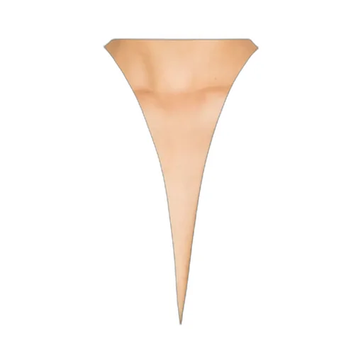 Deep V-Neck Top