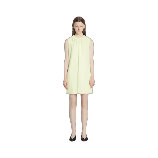 Crewneck Sleeveless Dress