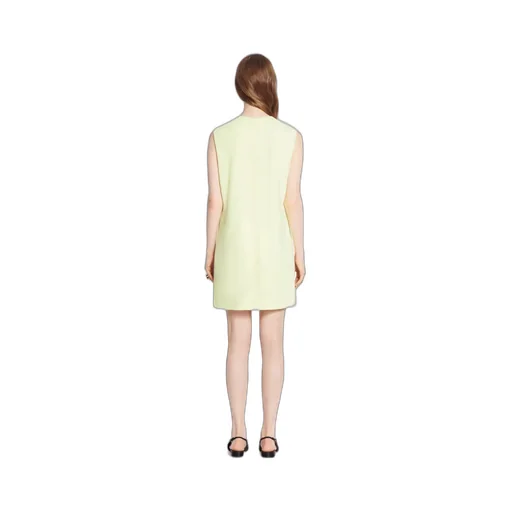 Crewneck Sleeveless Dress