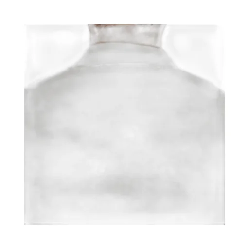 Polo Shirt With Lapel