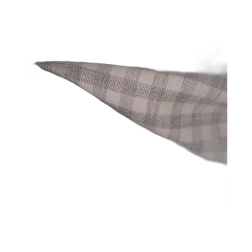 Check Patterned Shirt