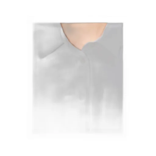 Shirt Dress With Kimono Sleeves In Oxford Cotton