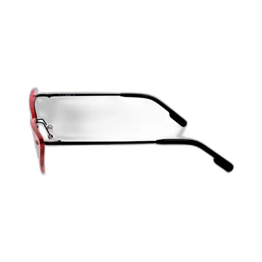 Triangular Logo Sunglasses
