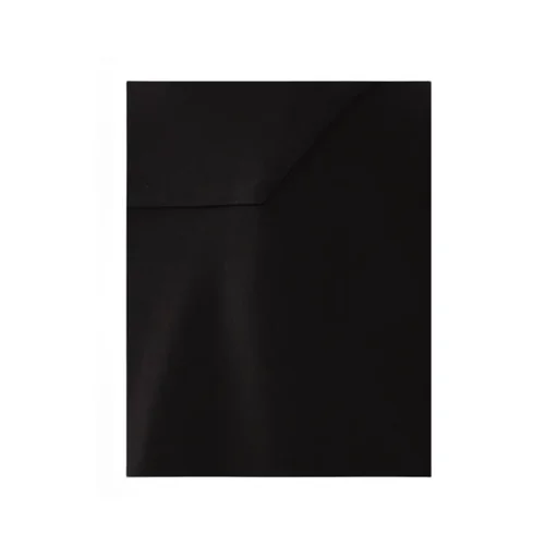 Open-Necked Black Shirt