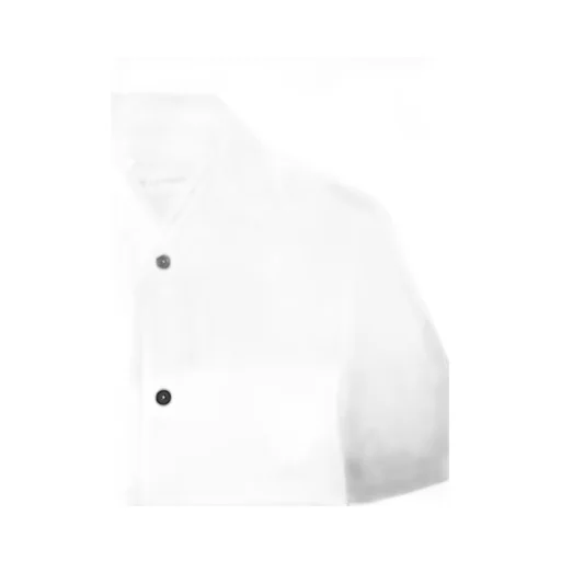 Short Sleeved Buttoned Shirt