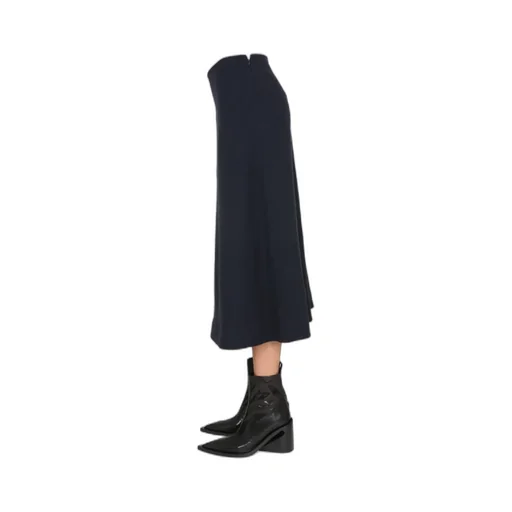 High-Waisted Flared Skirt