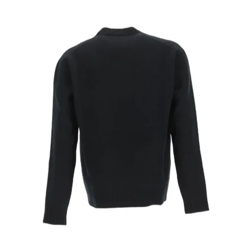 Long Sleeved Crewneck Sweater