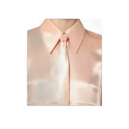 Satin Tie-Neck Shirt