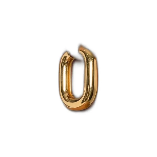 Loop Earrings