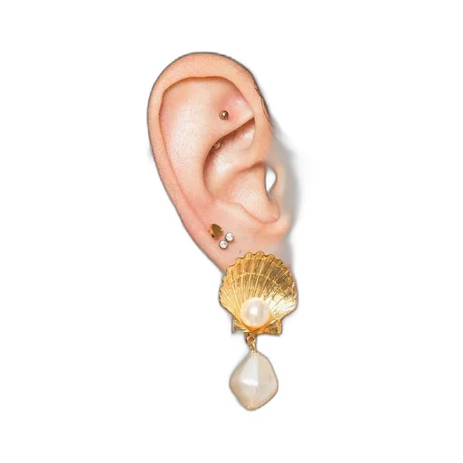 Shell Pearl Earrings