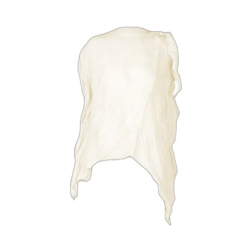 Wrinkled Twisted Top