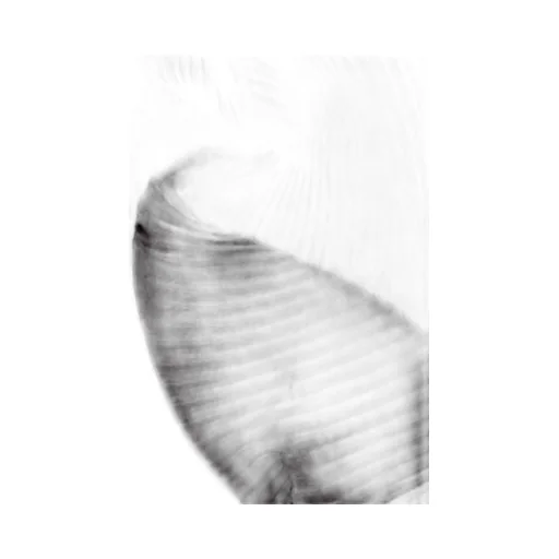 Double Pleats Stole