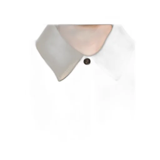 Long-Sleeved Shirt