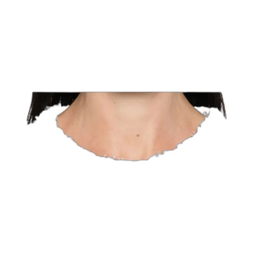 Crew Neck T-Shirt