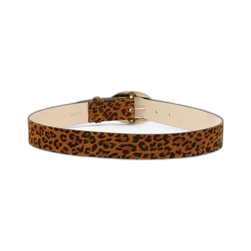 Dara Belt