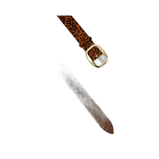 Dara Belt