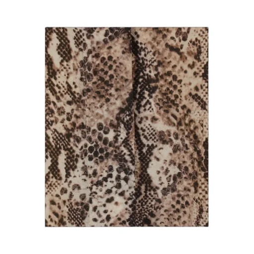 Ilda All-Over Leopard Printed Shirt