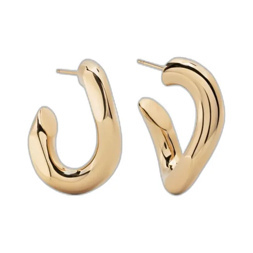 Links Earrings
