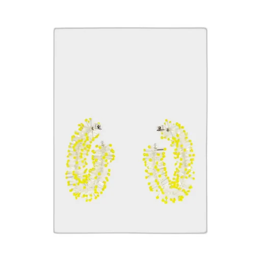 Crystal Earrings