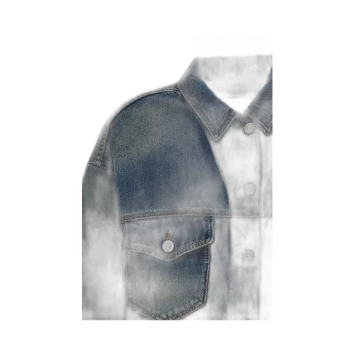 Tadia Denim Jacket