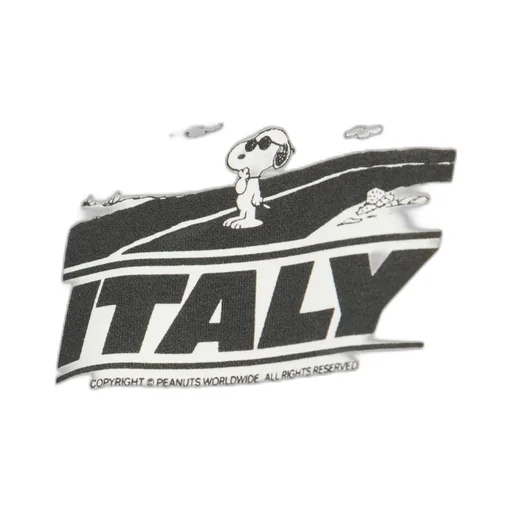 Crew Neck Printed Sweatshirt