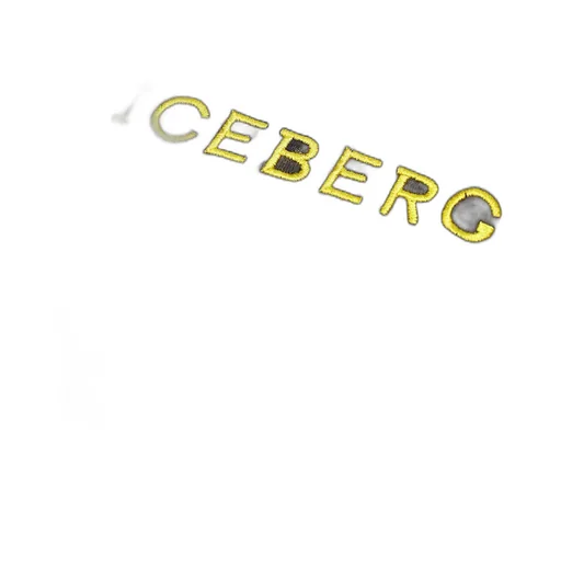 Logo Embroidered T-Shirt