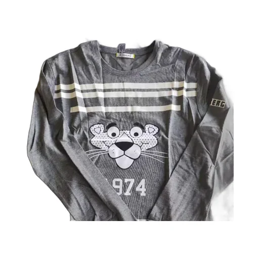 Printed Long-Sleeved T-Shirt