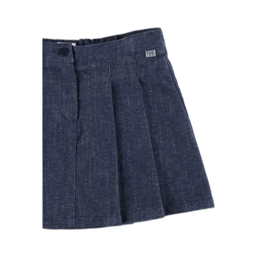 Mini Denim Skirt