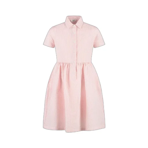 Short Sleeved Striped Mini Dress